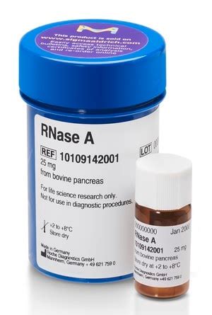 Rnase Sigma-Aldrich