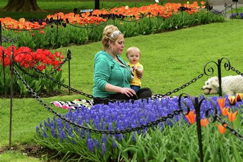 Road closures, parking restrictions for Albany Tulip Festival