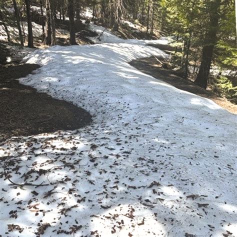 National Weather Service Forecast Discussion - Read a summary of Truckee-Tahoe's short and long-term weather and snow forecast. Updated 2-3 times daily. ... Old Hwy 40 Road Status - Sign up for text alerts about road openings and …. 