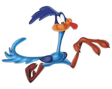 Road runner running. Things To Know About Road runner running. 