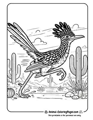Roadrunner Coloring Page