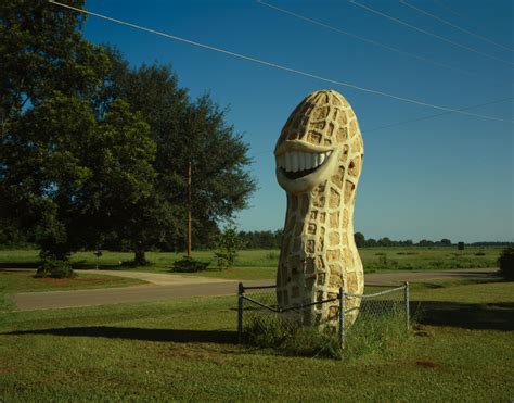 Discover the quirky and fun roadside attractions that readers voted for in TravelAwaits' 2023 Best Of Travel Awards. From the World's Largest Belt Buckle to the Fremont Troll, these are the places that make road trips memorable.. 