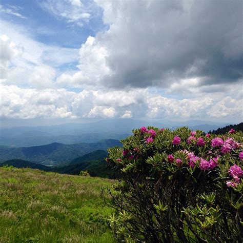 Roan mountain state park roan mountain tn. Among the upcoming events taking place at Roan Mountain State Park is Farmstead Friday, which is being held May 27 as well as tours of the Miller Farmstead at 11 a.m., 1 p.m., 2 p.m., and again on May 28 at 11 a.m., 1 p.m., and 2 p.m. The Miller Farmstead includes a well-maintained house […] 
