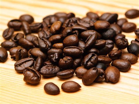 Roasted coffee beans. Light Roast. Light roast coffee beans are golden brown in color with a matte exterior (no oils released during roasting). They are sometimes referred to as Light City Roast. Light roasts have recently gained popularity, as the quality of coffee beans has improved in recent years, and roasters can be incredibly creative with their lighter roasts. 