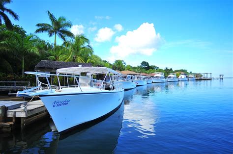 Roatan dive resorts. Our all-inclusive resort in Roatan, Honduras, provides all the modern comforts amidst a timeless and unspoiled landscape. Waterfront Bungalows. Spending time at Anthony’s … 