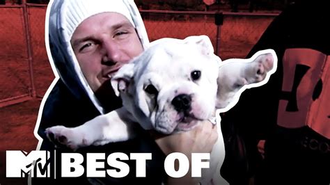 Rob dyrdek is meaty still alive. All posts tagged "Rob Dyrdek's dog Meaty" The Dogington Post is proud to do for the dog world what other great online newspapers have done for the dog-eat-dog world. Fri, Mar 24, 2017 30 mins. 5 Presa Canario dogs Neapolitan Mastiffs, six. 