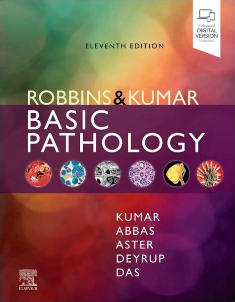 Download Robbins Basic Pathology By Vinay   Kumar