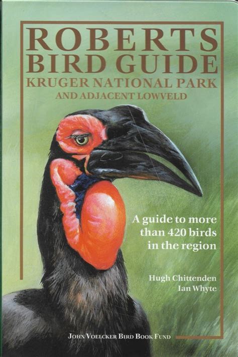 Roberts bird guide kruger national park and adjacent lowveld a. - Qualitative researching with text image and sound a practical handbook.