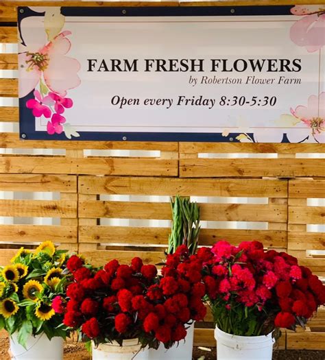 Robertson Flower Farm - Bundaberg, Queensland – …