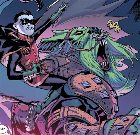 Robin (disambiguation) DC Database Fandom.