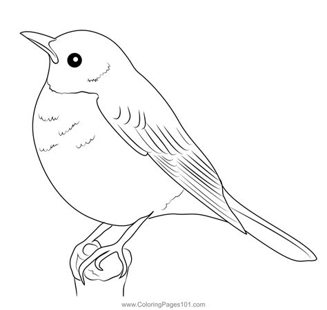 Canada Coloring Sheets