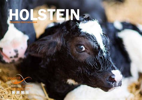 Robin Red - Holstein - Cogent International