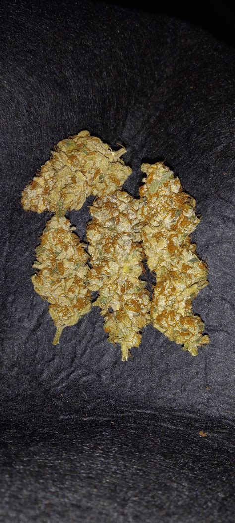 Robin hood seeds. Robin Hood Seeds offers elite hybrids at affordable prices without testing. Browse over 2200 strains and get 3 free fem photo seeds with some packs. 