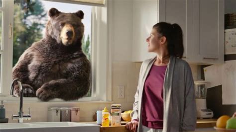 Robitussin bear voice ray romano. Oct 25, 2016 · Robitussin is an over-the-counter cough medicine for adults and children who are older than 12 years. The active ingredient in Robitussin is an expectorant called guaifenesin. Expectorants help ... 