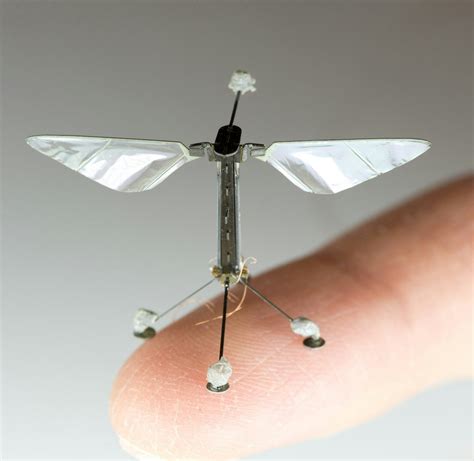 RoboBees: Autonomous Flying Microrobots - Wyss Institute