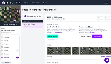Roboflow export dataset.  This is useful when you want to create a dataset from specifi...