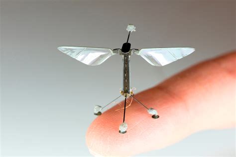 Robot Bees Could Help Save Crops