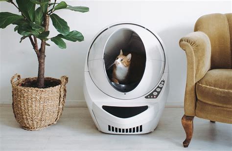 Robot litter. This high-tech litter robot comes with a price tag of $700 and has options of a Litter-Robot 4 or Litter-Robot 3, as well as useful accessories like litter, a litter trap mat, odor trap packs that ... 