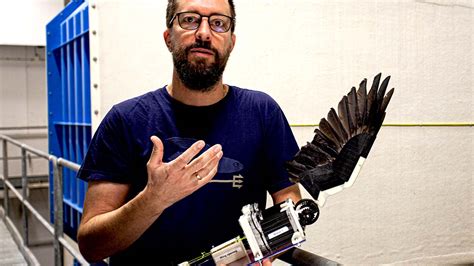 Robotvinge h&auml;rmar f&aring;gel i flykt - Forskning & Framsteg