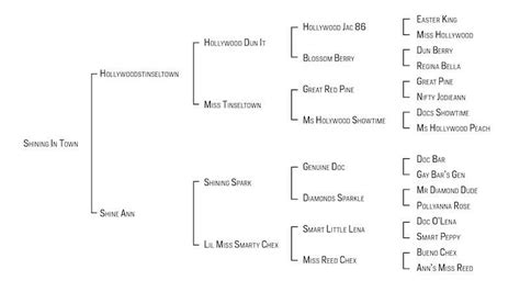 Rocco Strong Horse Pedigree