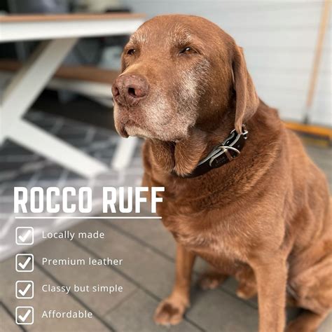 💦 Roccoruff Leaks (SEX)