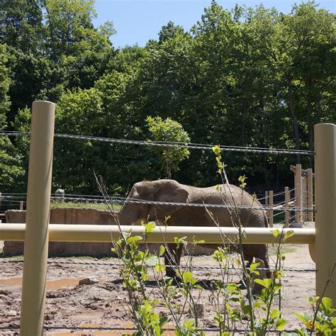 Rochester zoo. The Seneca Park Zoo announced Monday that Parker, the zoo's 6-year-old male Masai giraffe, has died.Medical staff found him unresponsive Sunday morning, with... 