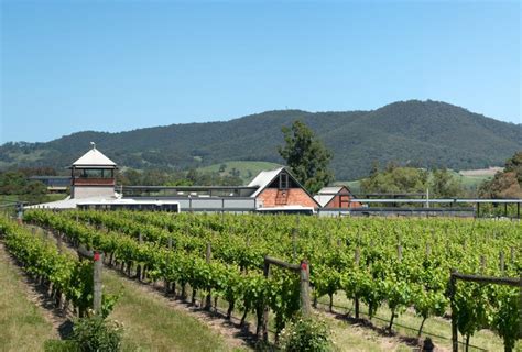 Rochford Wines BIG4 Yarra Valley Park Lane Holiday Parks