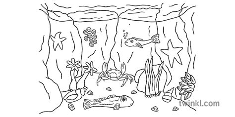 Rock Pool Colouring Sheet