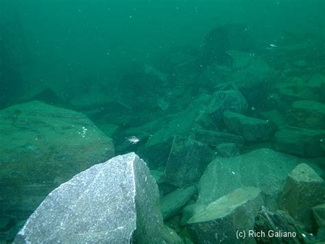 Rock Ridges ~ New Jersey Scuba Diving - NJScuba.net