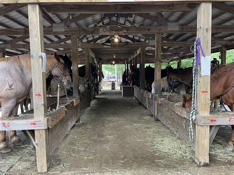27 Apr 2021 ... Smoky Mountain Horseback Riding | Smokey Mountain Deer Farm Riding Stables John and Amy had a HILARIOUS time on this 45-minute trail ride .... 