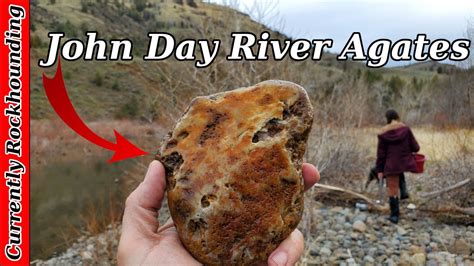 Rock hunting john day oregon. .  <a href=https://www.alessa-art.nl/pgpgqb/youngporn-ma...