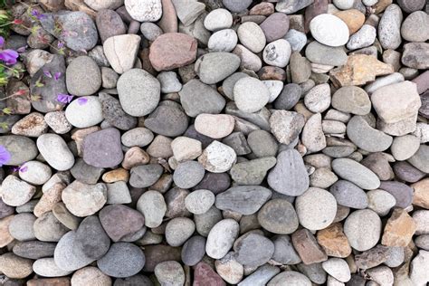 Rock materials. Landscaping rock (stone) is a popular and time-tested hardscape material used to bring out the beauty of plants, construct useful landscape features, add definition or an accent to your … 