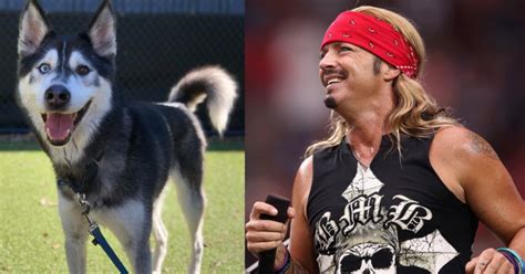 Rock star Bret Michaels adopts hero rescue dog named after him