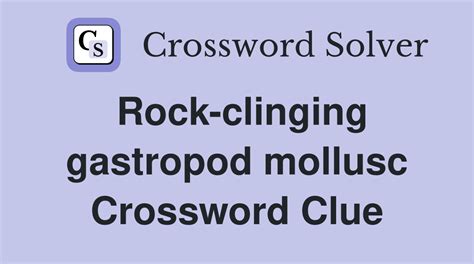 Rock-clinging mollusk - crossword puzzle clue