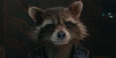 Rocket Raccoon - Facebook