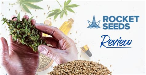 Rocket seeds benefits. .  ...