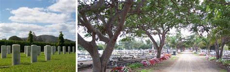 Rockhampton City Council cemetery records - FamilySearch