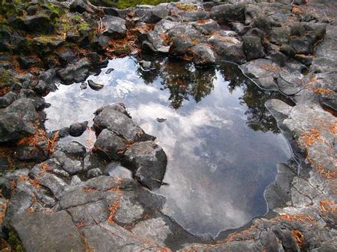 Rockhounding Strawberry Hill, Oregon: 11 Things You …