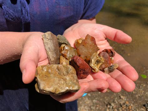 Rockhounding Supplies Near Me