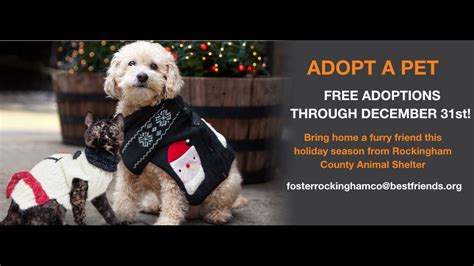 Rockingham county animal shelter. Pet Adoption - Search dogs or cats near you. Adopt a Pet Today. Pictures of dogs and cats who need a home. Search by breed, age, size and color. Adopt a dog, Adopt a cat. 