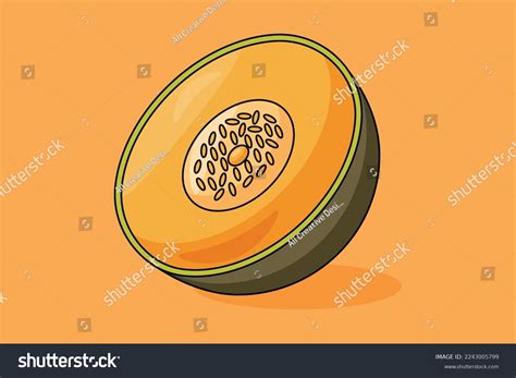 Rockmelon Images Free Vectors, Stock Photos & PSD