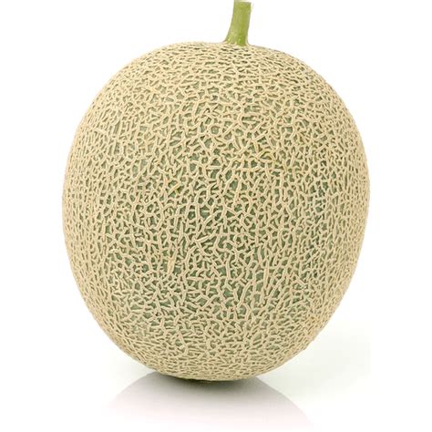 Rockmelon cantaloupe. Re: Green Rockmelon or Cantaloupe. by HansV » 24 Mar 2010, 16:11. Unless you eat very large quantities, I think there's little chance of stomach ache. You could use them more or less like green mangoes, but their taste is more neutral. You could put chunks of green cantaloupe with sweeter fruits in a blender to make a … 