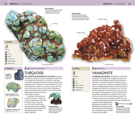 Rocks and minerals of the world junior nature guides. - Mice and men guide chapter three answers.