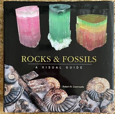 Read Online Rocks And Fossils A Visual Guide By Robert R Coenraads