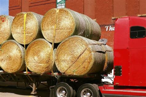 Jan 25, 2024 · Starting in September we will be offering ground hay delivered to your farm on live bottom trailers. Prices will depend on exactly what you want as far as Alfalfa, Grass, or Mixed Hay. For more details contact Paul 712-470 …
