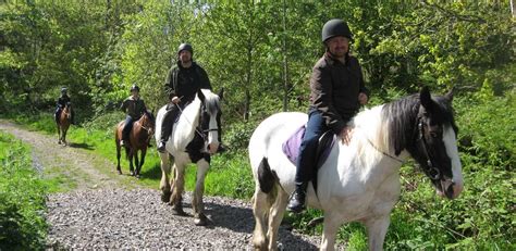 Rockwood Riding Centre (Caerphilly) - 2024 What to Know …