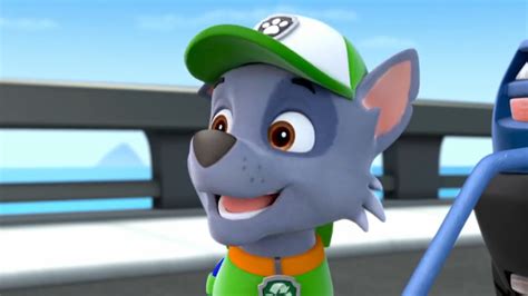 Rocky/Gallery/Pups Pit Crew PAW Patrol Wiki Fandom