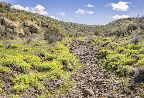 Rocky Top and Cowiche Mountain — Washington Trails Association