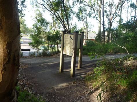 Rocky-high Circuit Walk walking track - Wildwalks