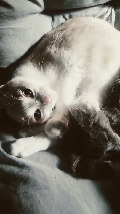 Rocky_Butters Leaked [PPV] 💦